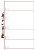 PMU Pigment Swatch Sheet